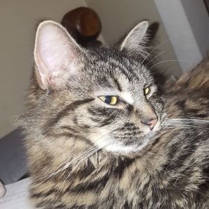 Meet your Posher, Autumn